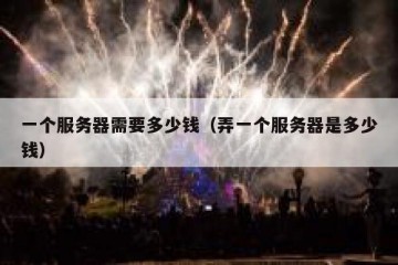 一个服务器需要多少钱（弄一个服务器是多少钱）