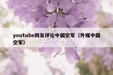 youtube网友评论中国空军（外媒中国空军）