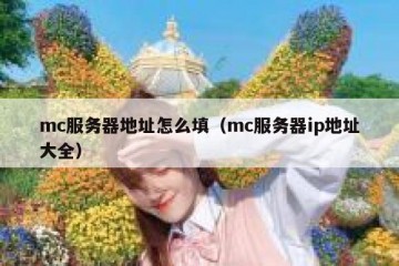 mc服务器地址怎么填（mc服务器ip地址大全）