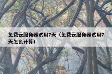 免费云服务器试用7天（免费云服务器试用7天怎么计算）