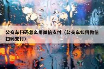 公交车扫码怎么用微信支付（公交车如何微信扫码支付）