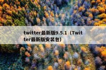 twitter最新版9.5.1（Twitter最新版安装包）
