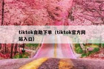tiktok自助下单（tiktok官方网站入口）