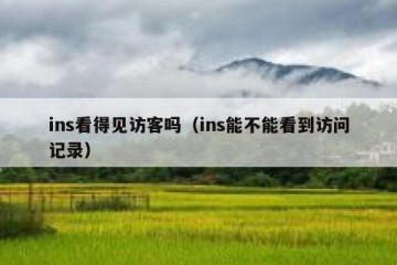 ins看得见访客吗（ins能不能看到访问记录）
