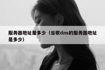 服务器地址是多少（谷歌dns的服务器地址是多少）