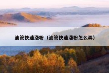 油管快速涨粉（油管快速涨粉怎么弄）
