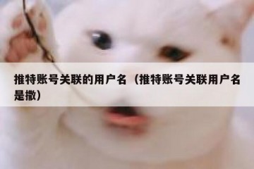 推特账号关联的用户名（推特账号关联用户名是撒）