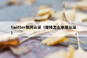 twitter如何认证（推特怎么申请认证）