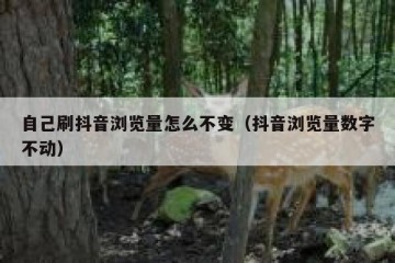 自己刷抖音浏览量怎么不变（抖音浏览量数字不动）