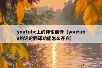 youtube上的评论翻译（youtube的评论翻译功能怎么开启）