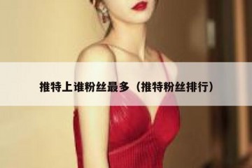 推特上谁粉丝最多（推特粉丝排行）