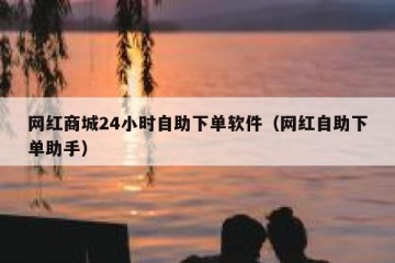 网红商城24小时自助下单软件（网红自助下单助手）