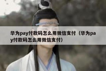 华为pay付款码怎么用微信支付（华为pay付款码怎么用微信支付）