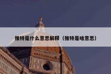 推特是什么意思解释（推特是啥意思）
