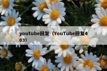 youtube回复（YouTube回复403）