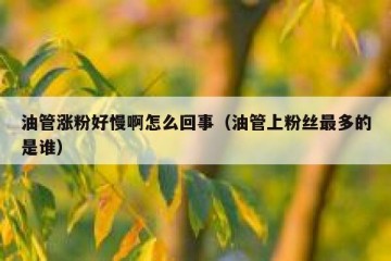 油管涨粉好慢啊怎么回事（油管上粉丝最多的是谁）
