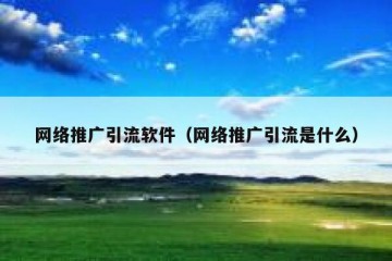 网络推广引流软件（网络推广引流是什么）