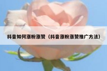抖音如何涨粉涨赞（抖音涨粉涨赞推广方法）