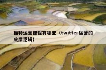 推特运营课程有哪些（twitter运营的底层逻辑）