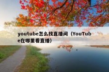 youtube怎么找直播间（YouTube在哪里看直播）