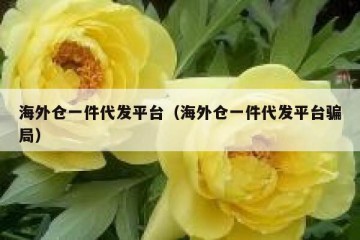 海外仓一件代发平台（海外仓一件代发平台骗局）