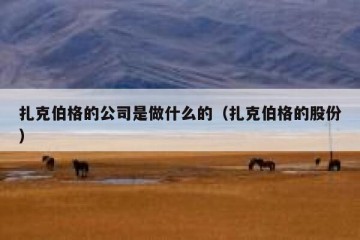 扎克伯格的公司是做什么的（扎克伯格的股份）
