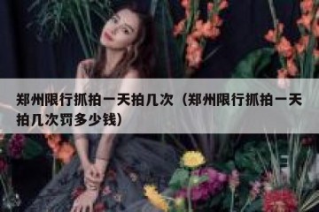 郑州限行抓拍一天拍几次（郑州限行抓拍一天拍几次罚多少钱）