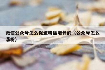微信公众号怎么促进粉丝增长的（公众号怎么涨粉）