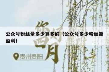 公众号粉丝量多少算多的（公众号多少粉丝能盈利）