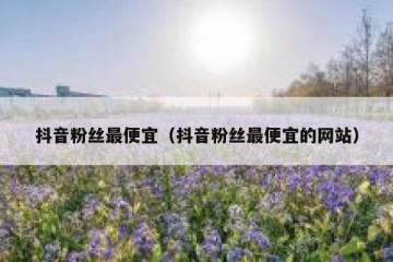 抖音粉丝最便宜（抖音粉丝最便宜的网站）