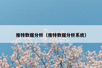 推特数据分析（推特数据分析系统）