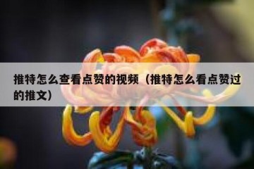 推特怎么查看点赞的视频（推特怎么看点赞过的推文）