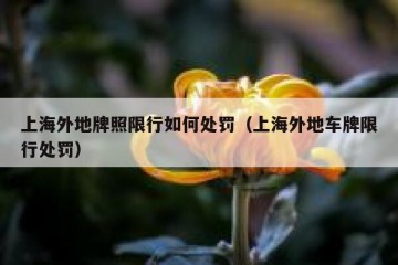 上海外地牌照限行如何处罚（上海外地车牌限行处罚）