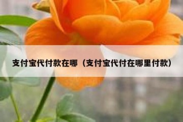 支付宝代付款在哪（支付宝代付在哪里付款）