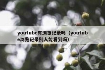 youtube有浏览记录吗（youtube浏览记录别人能看到吗）