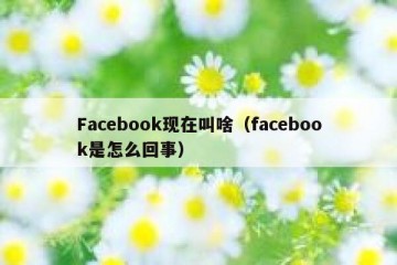 Facebook现在叫啥（facebook是怎么回事）