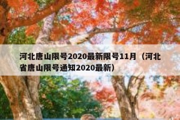 河北唐山限号2020最新限号11月（河北省唐山限号通知2020最新）