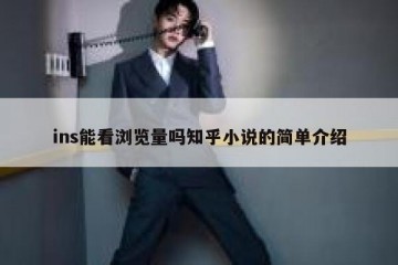 ins能看浏览量吗知乎小说的简单介绍