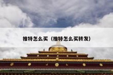 推特怎么买（推特怎么买转发）