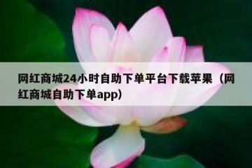 网红商城24小时自助下单平台下载苹果（网红商城自助下单app）