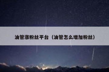 油管涨粉丝平台（油管怎么增加粉丝）