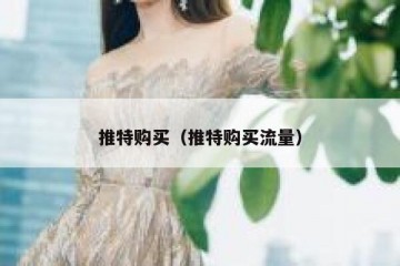 推特购买（推特购买流量）