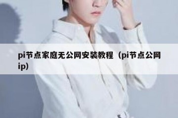 pi节点家庭无公网安装教程（pi节点公网ip）