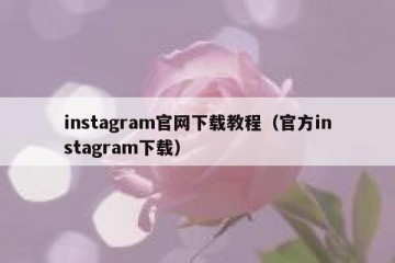 instagram官网下载教程（官方instagram下载）