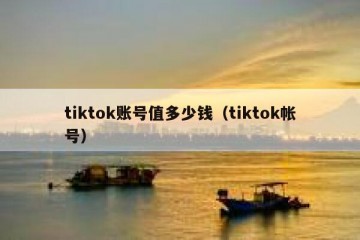 tiktok账号值多少钱（tiktok帐号）
