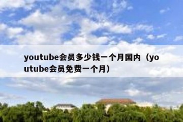 youtube会员多少钱一个月国内（youtube会员免费一个月）