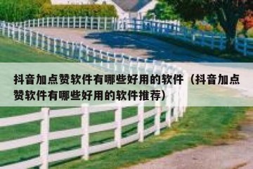 抖音加点赞软件有哪些好用的软件（抖音加点赞软件有哪些好用的软件推荐）