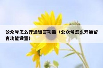公众号怎么开通留言功能（公众号怎么开通留言功能设置）