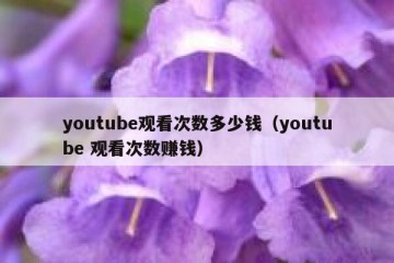 youtube观看次数多少钱（youtube 观看次数赚钱）