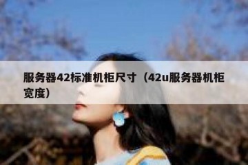 服务器42标准机柜尺寸（42u服务器机柜宽度）